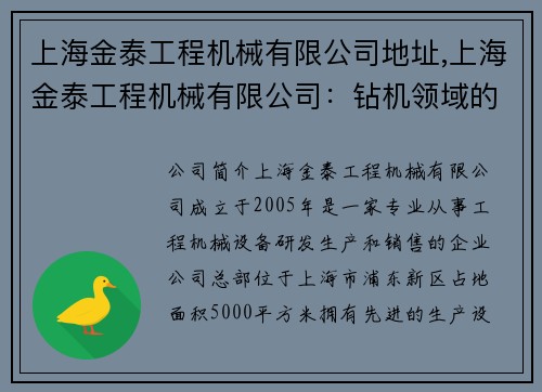上海金泰工程机械有限公司地址,上海金泰工程机械有限公司：钻机领域的领军企业