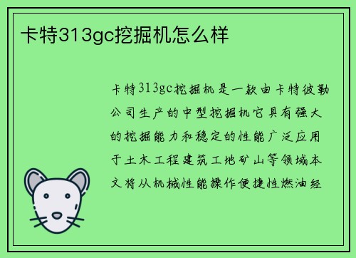 卡特313gc挖掘机怎么样